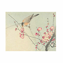 Birds by the great masters of Japanese print