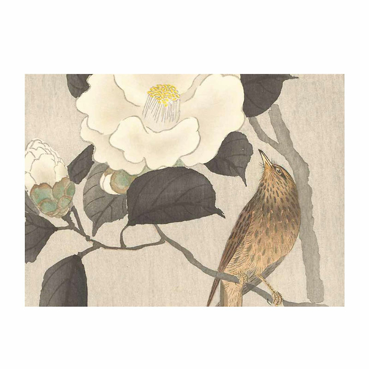 Les oiseaux par les grands maîtres de l'estampe japonaise