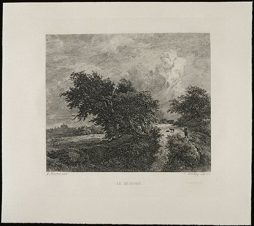 Le buisson - Van Ruisdael