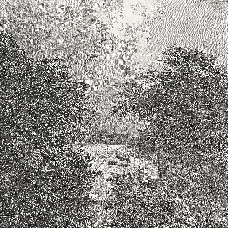 Le buisson - Van Ruisdael