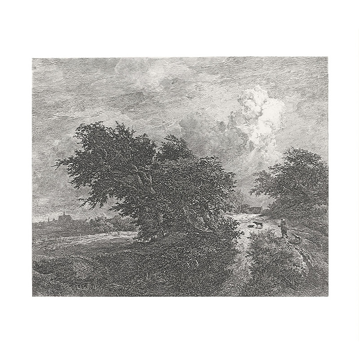 The bush - Van Ruisdael