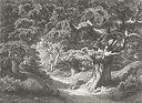 Forêt de Fontainebleau : le Charlemagne et le Roland