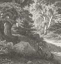 Forêt de Fontainebleau : le Charlemagne et le Roland