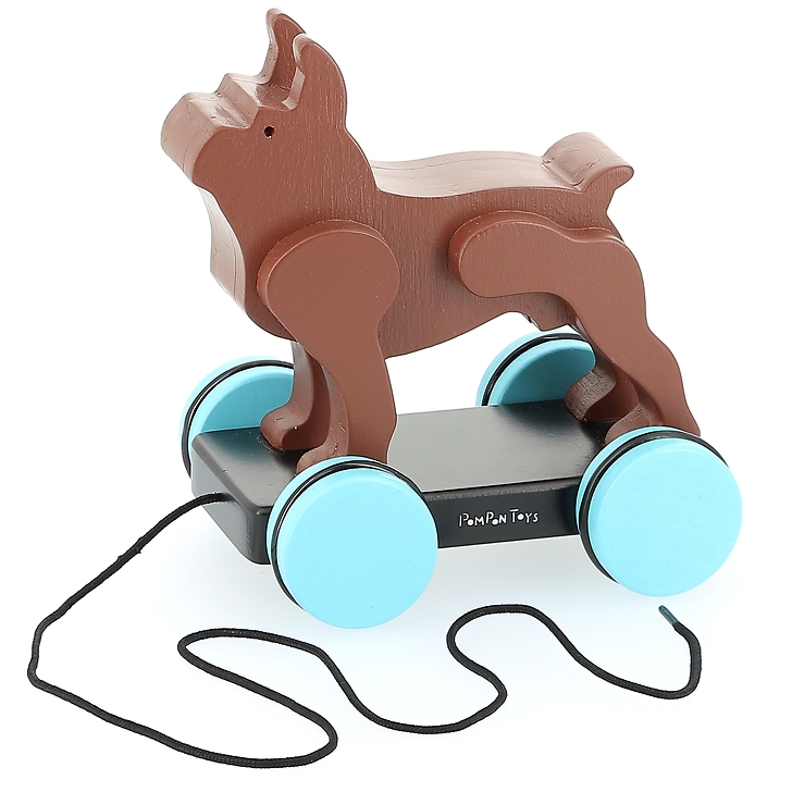 BOSTON TERRIER A TIRER JOUET A TIRER INSPIRE