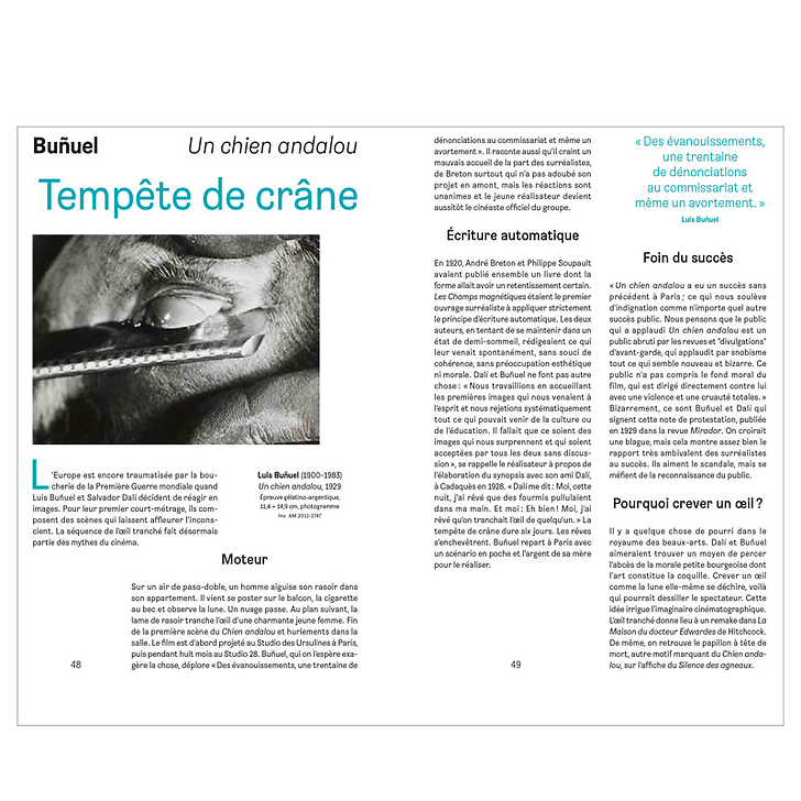 Pourquoi c'est connu? Le fabuleux destin des chefs-d'œuvre du Centre Pompidou (Français)