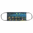 Reusable mask - Van Gogh Starry Night