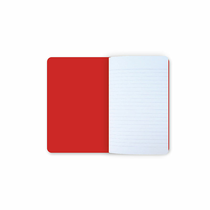 Carnet Anne Vallayer-Coster - Panaches de mer