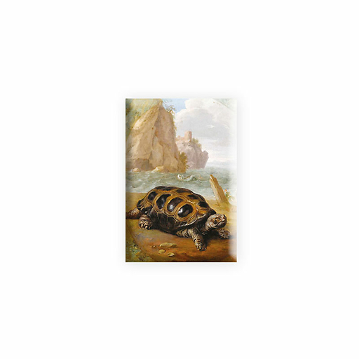 MAGNET BERNAERTS TORTUE