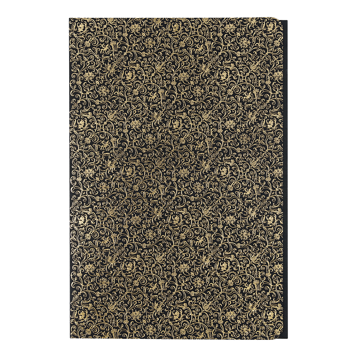 Lot de 2 Chemises Renaissance