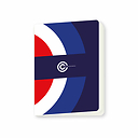 CAHIER LOGO CONSEIL CONSTITUTI Cahier Logo Conseil Constitutionnel