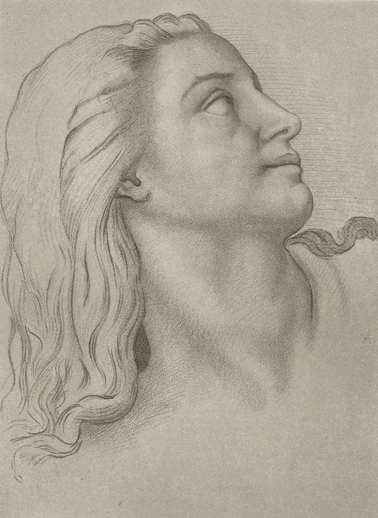 Woman's head