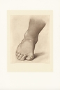Etude pour le pied droit du "Saint Jean Baptiste dans le désert"