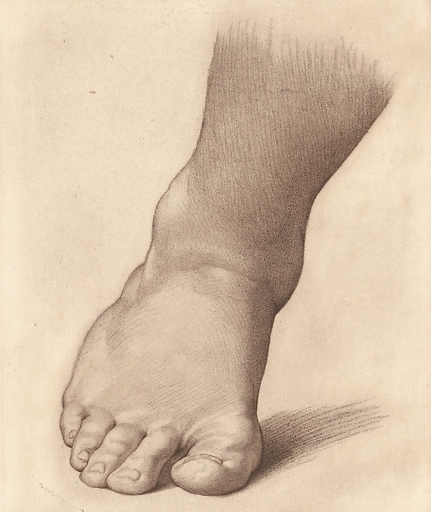 Study for the right foot of the "Saint John the Baptist in the Desert