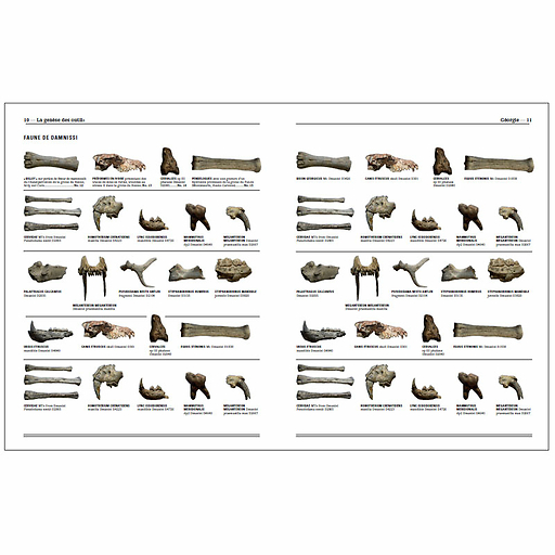 Homo faber - 2 millions d'années d'histoire de la pierre taillée - De l'Afrique aux portes de l'Europe - Catalogue d'exposition