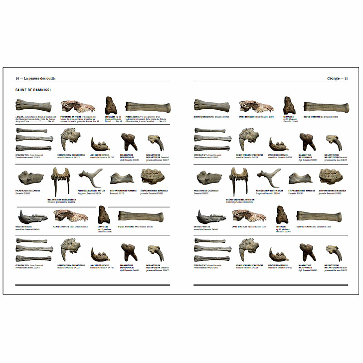 Homo faber - 2 millions d'années d'histoire de la pierre taillée - De l'Afrique aux portes de l'Europe - Catalogue d'exposition