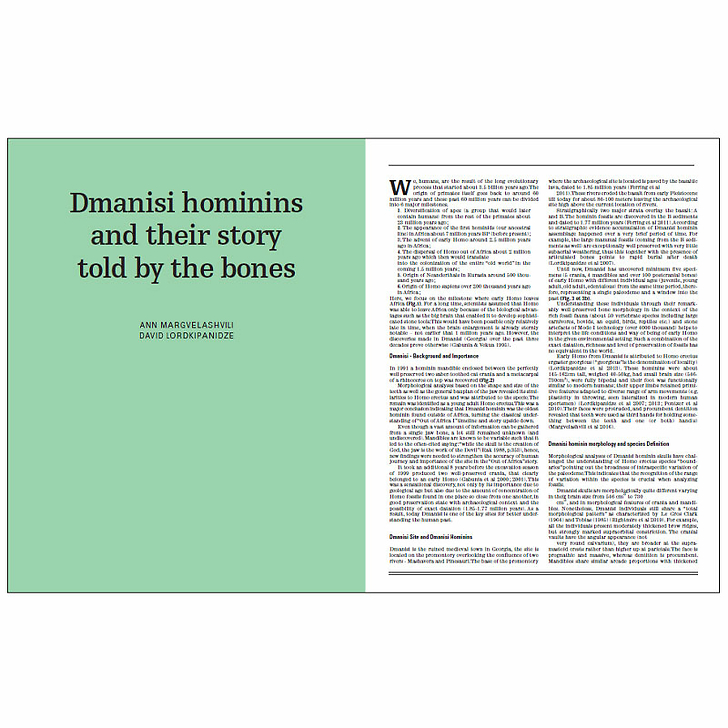 Homo faber - 2 millions d'années d'histoire de la pierre taillée - De l'Afrique aux portes de l'Europe - Catalogue d'exposition
