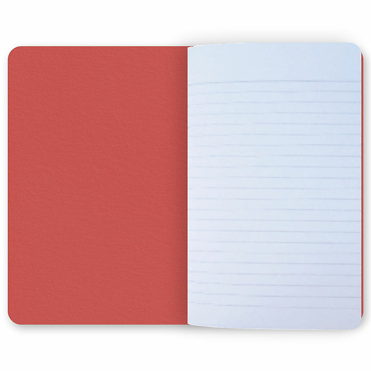 Notebook Soutine - The woman in red