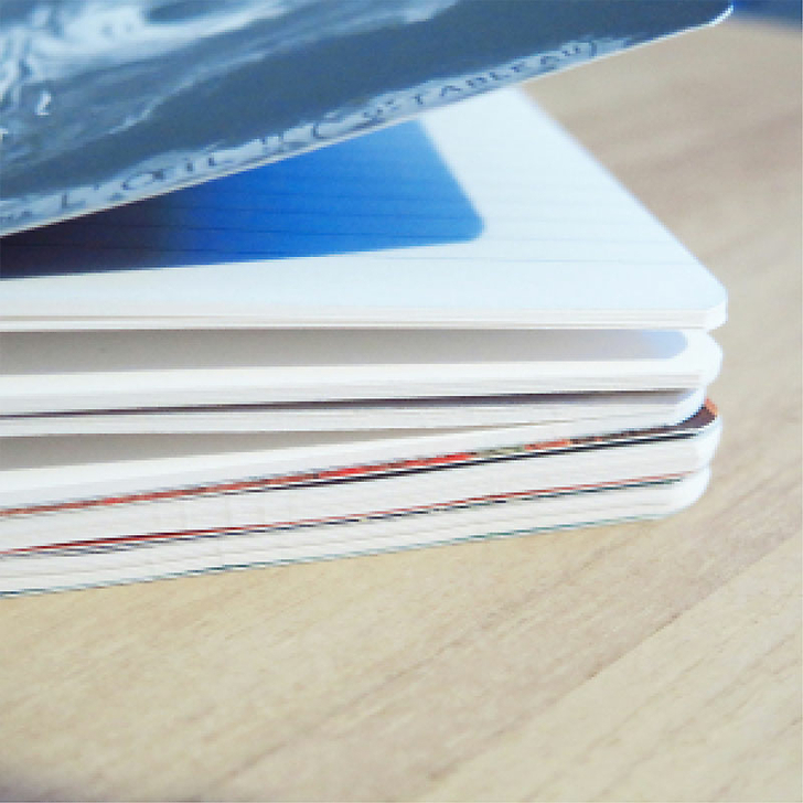 Notebook Soutine - The woman in red