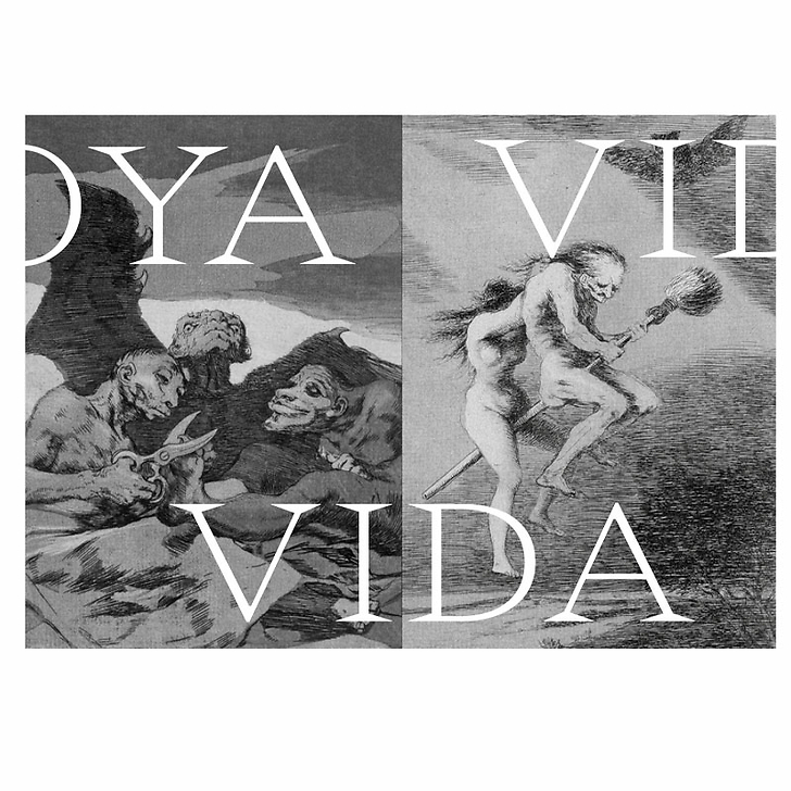 Expérience Goya - Catalogue d'exposition