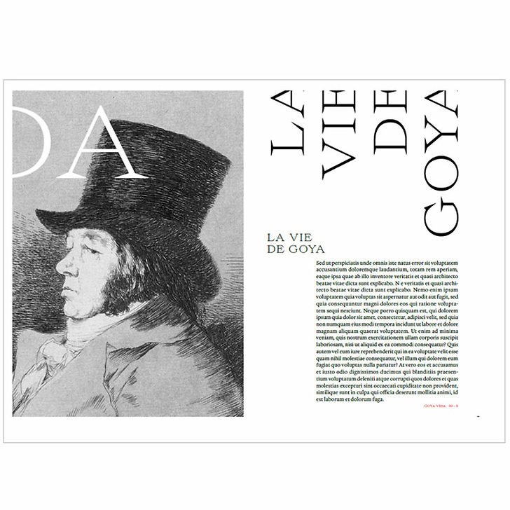Expérience Goya - Catalogue d'exposition