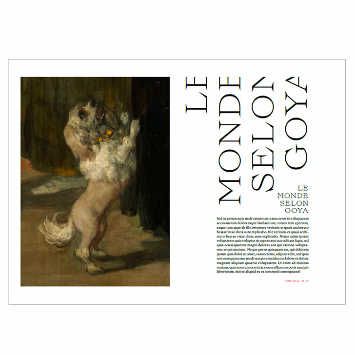 Expérience Goya - Catalogue d'exposition