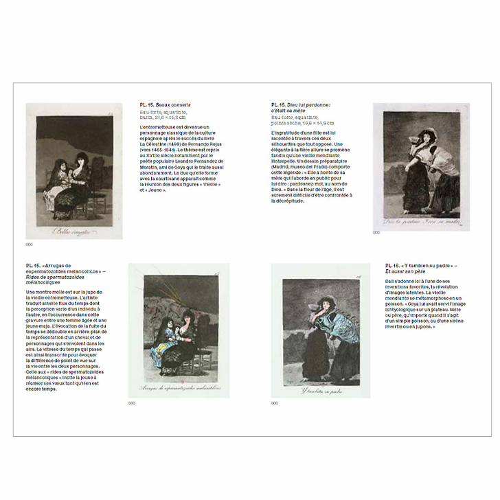Expérience Goya - Catalogue d'exposition