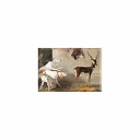 Magnet Jean-Baptiste Oudry - Trois chiens et une antilope, 1745