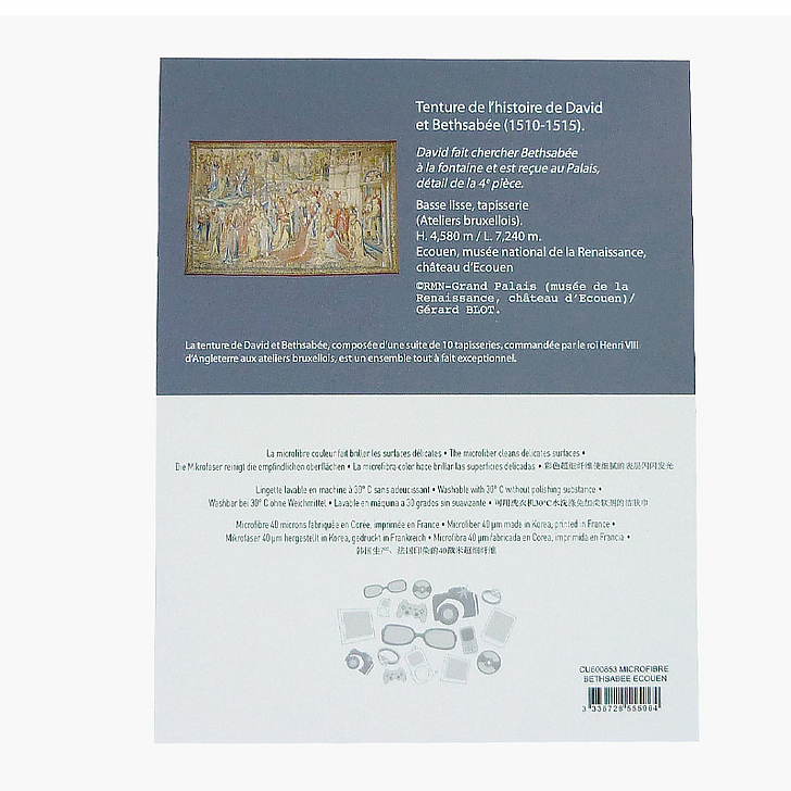 Microfibre Tenture de David et Bethsabée