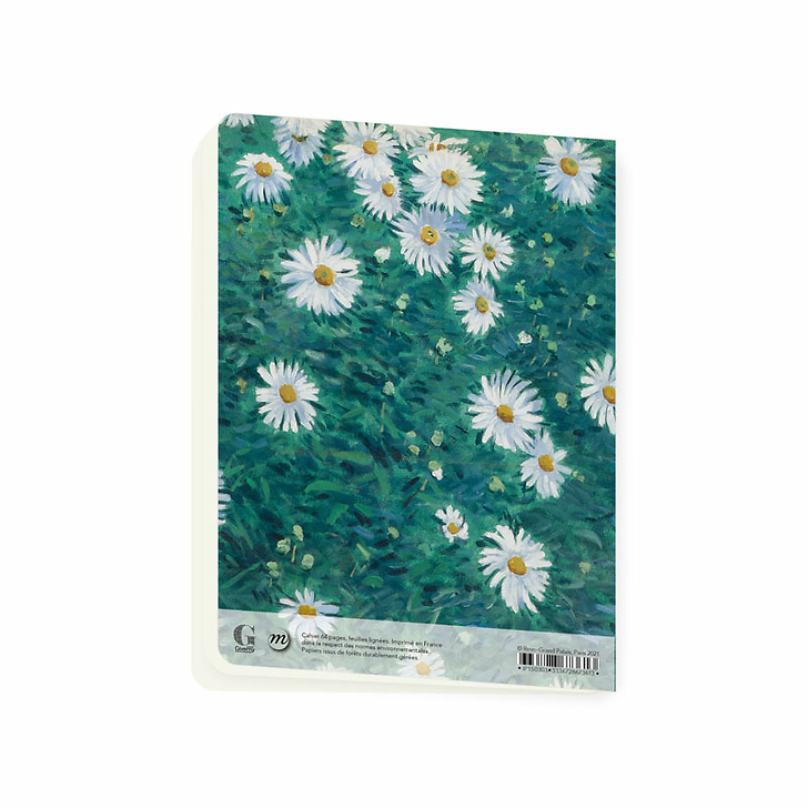 Cahier Gustave Caillebotte - Parterre de marguerites, vers 1893