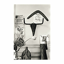 Reproduction sous Marie-Louise David Douglas Duncan - Sculpture Tête de taureau accrochée au mur du salon de l'atelier de La Californie, Cannes 1957
