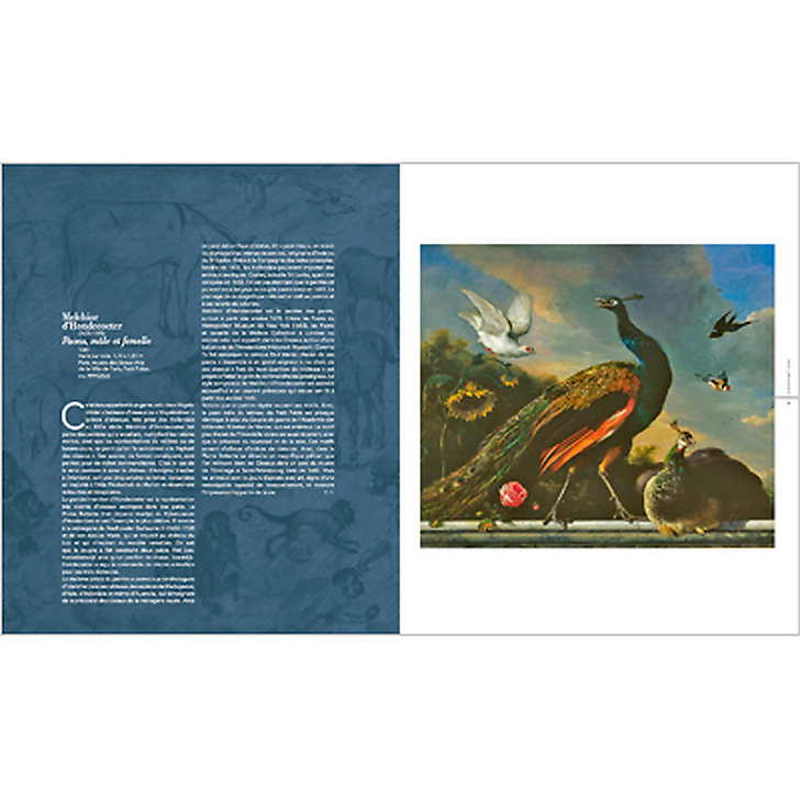 Exhibition Catalogue - Beauté Animale