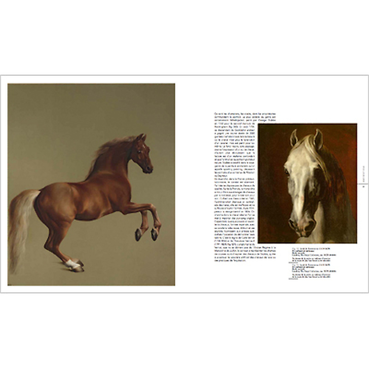 Exhibition Catalogue - Beauté Animale