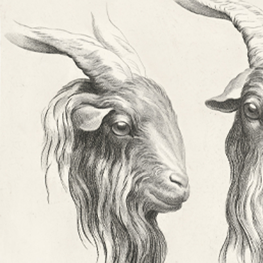 Engraving Two goat heads