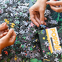 Puzzle éducatif Les fleurs - 1000 pièces - Poppik