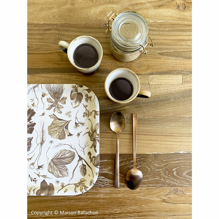 Plateau Herbier du Roi - Bronze - Château de Versailles- 20 x 27cm