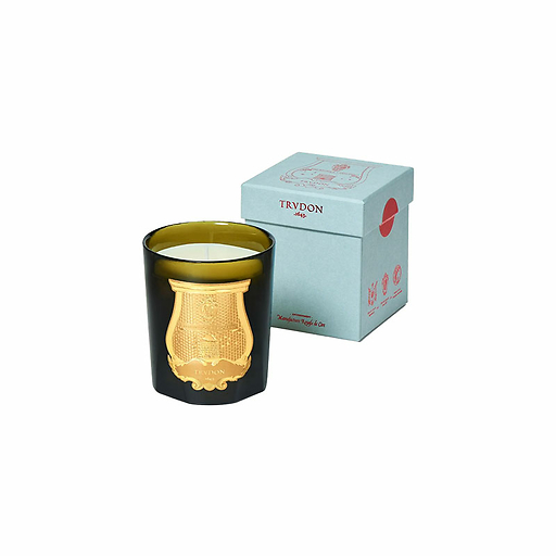 Bougie Classique 270g Ernesto - Trudon