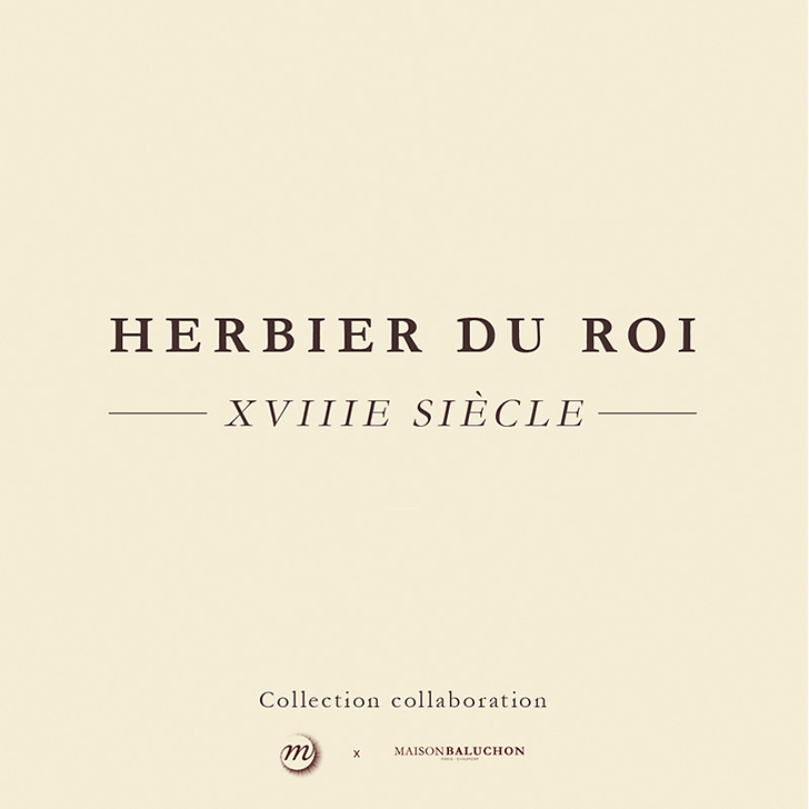 Tablier vert Herbier du roi - Maison Baluchon