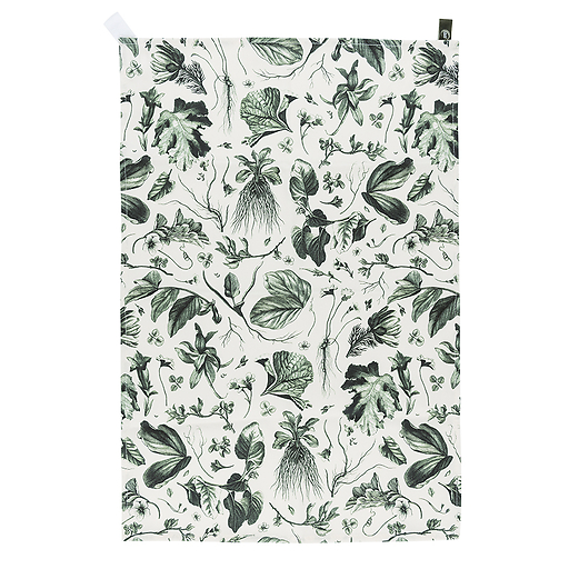 Green tea towel Herbier du roi - 72 x 48 cm - Maison Baluchon