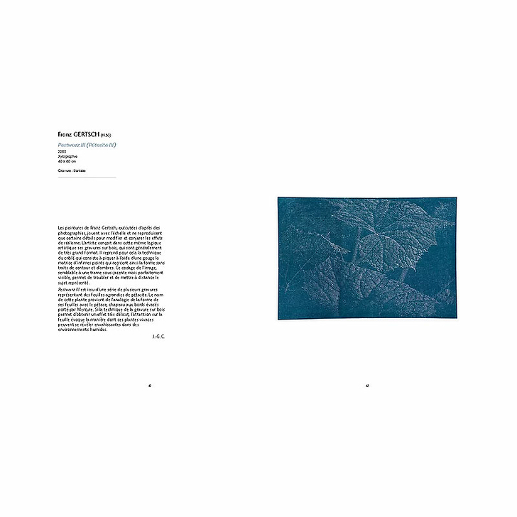 E/Ancrage. Estampes contemporaines du Louvre et de la Rmn-GP - Catalogue d'exposition