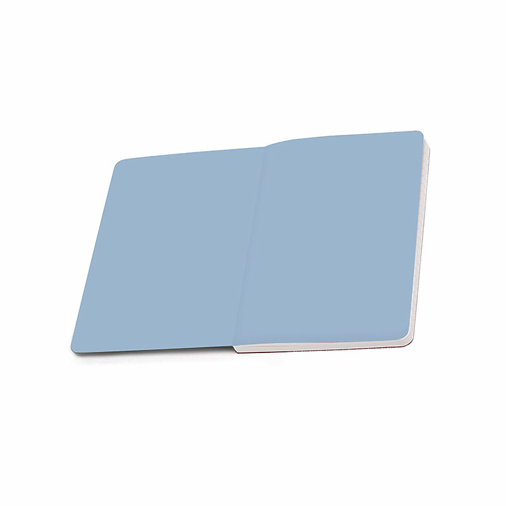 Cahier à élastique Jean-Baptiste Oudry - Polydore, chien de la meute de Louis XV, 1726