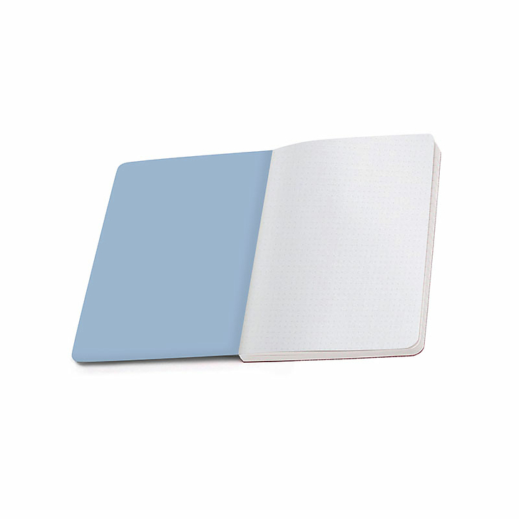 Cahier à élastique Jean-Baptiste Oudry - Polydore, chien de la meute de Louis XV, 1726