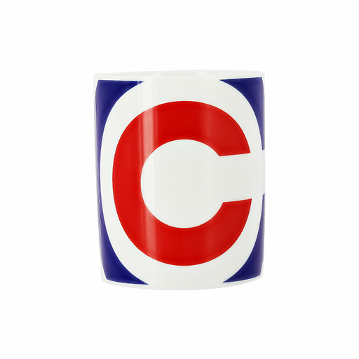 Mug Conseil Constitutionnel