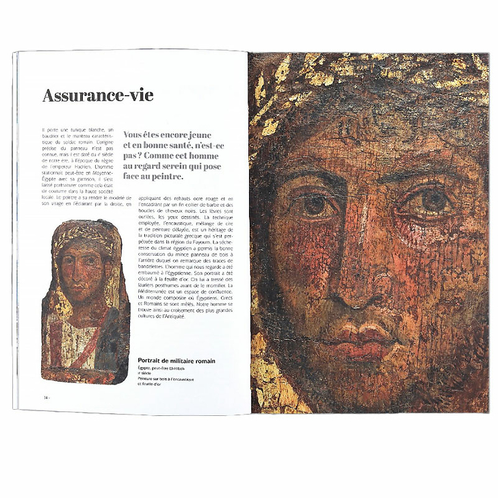 Palais des Beaux-Arts de Lille - Laissez vous guider (Français)