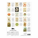 Artists Colouring Book Haeckel's - Art Forms in nature - The Pepin Press