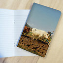 Rosa Bonheur notebook - Ploughing in the Nivernais region also known as Le Sombrage