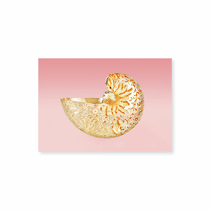 Lot de 10 cartes postales Miroir du monde - 10,5 x 15 cm