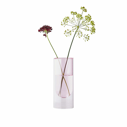 Vase en forme de tube Rose 16 cm