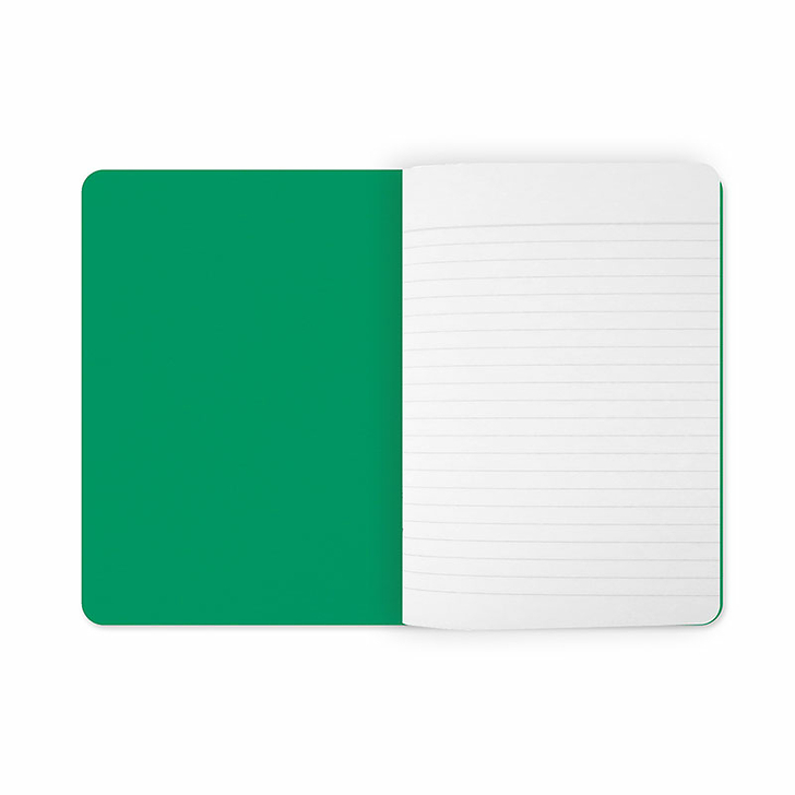 Cahier Henri Matisse - La Robe rayée, 15 et 26 janvier 1938