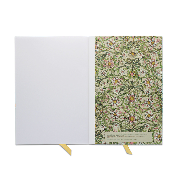 Jean-Henri-Prosper Pouchet Notebook - Treatise on precious stones