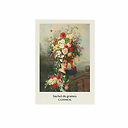 Sachet de graines Cosmos